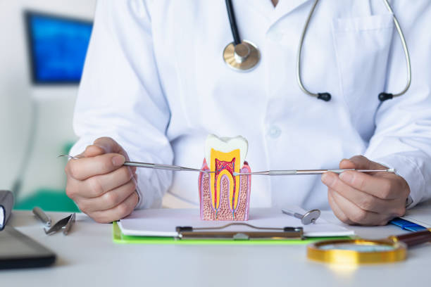 Best Emergency Tooth Extraction in Pana, IL
